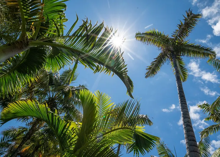 Hacienda San Jorge 3*